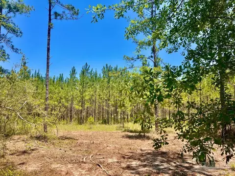 lot88 Pine Preserve Ln, Pace, FL 32571 photo 9