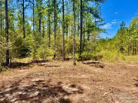 lot88 Pine Preserve Ln, Pace, FL 32571 photo 8