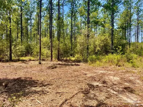 lot88 Pine Preserve Ln, Pace, FL 32571 photo 12
