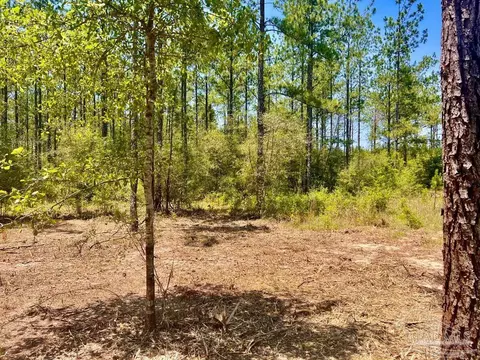lot88 Pine Preserve Ln, Pace, FL 32571 photo 10