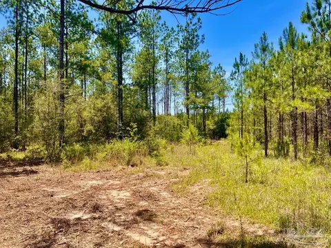 lot88 Pine Preserve Ln, Pace, FL 32571 photo 11