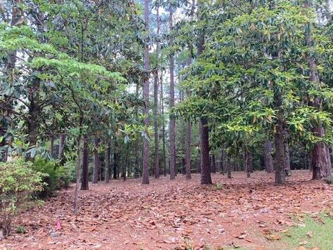 lot8 Kimberly Dr, Atmore, AL 36502