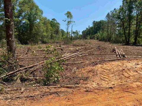 0000 Beck Bridge Rd, Westville, FL 32464