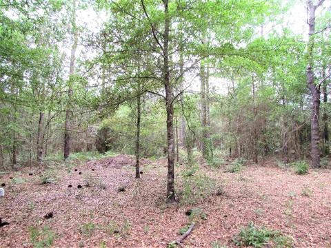 11700 Outlook Rd, Milton, FL 32583