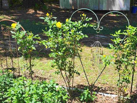 11167 N Hwy 87, Milton, FL 32570 photo 5