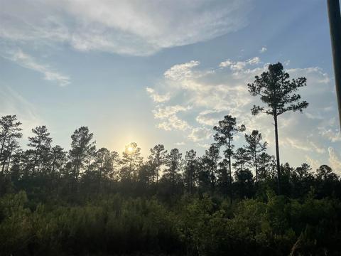 5 Acres Mayburn Bridge Rd, Milton, FL 32570