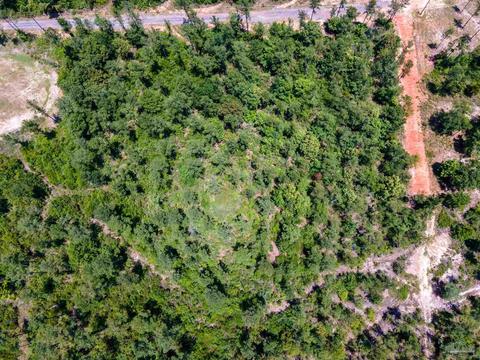 7440 Buffalo Ridge Rd, Pace, FL 32571 photo 14