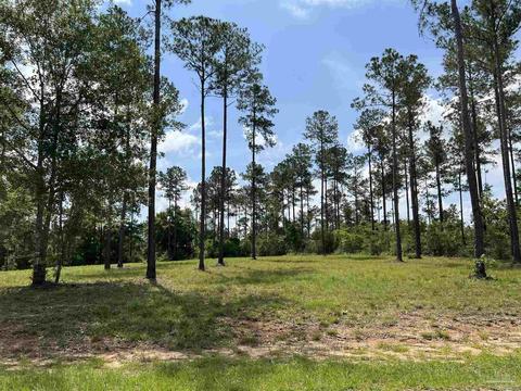 7440 Buffalo Ridge Rd, Pace, FL 32571 photo 3