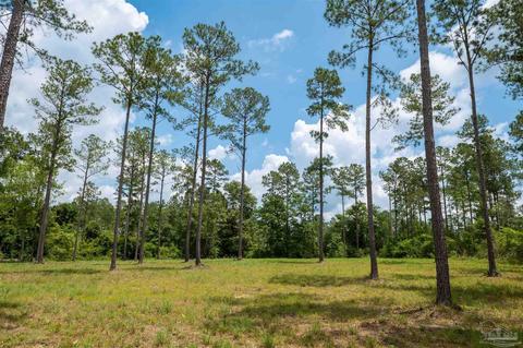 7440 Buffalo Ridge Rd, Pace, FL 32571 photo 7