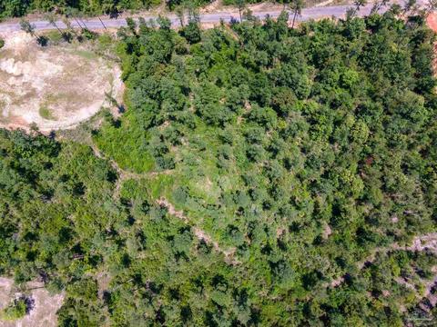 7440 Buffalo Ridge Rd, Pace, FL 32571 photo 13