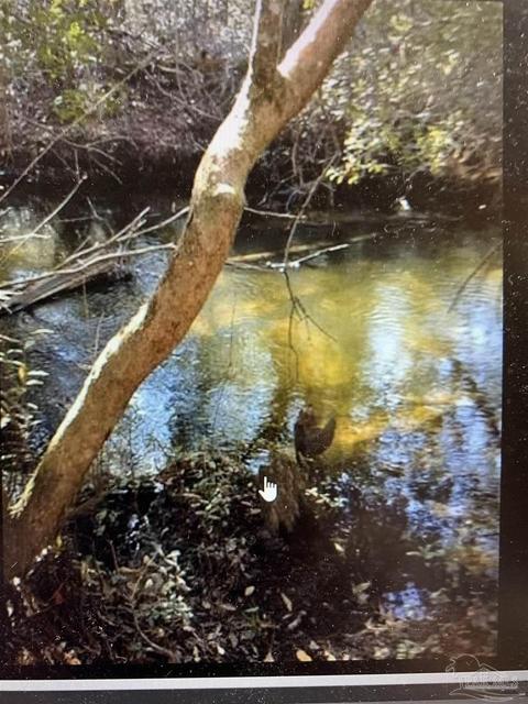 00 Oser Rd, Milton, FL 32570