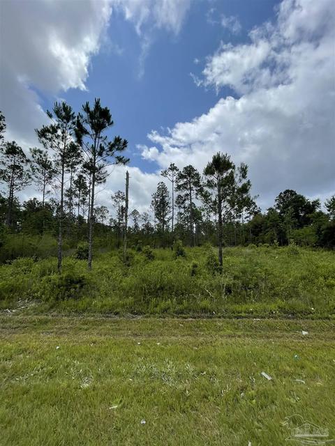 Del Monte St, Milton, FL 32583