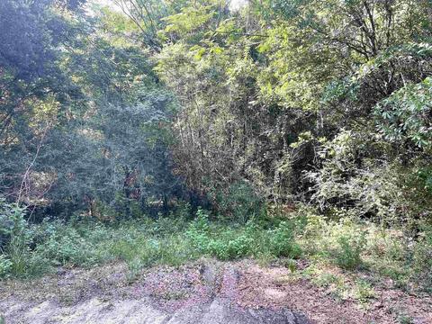 00 Daybreak Ln, Pace, FL 32571 photo 3