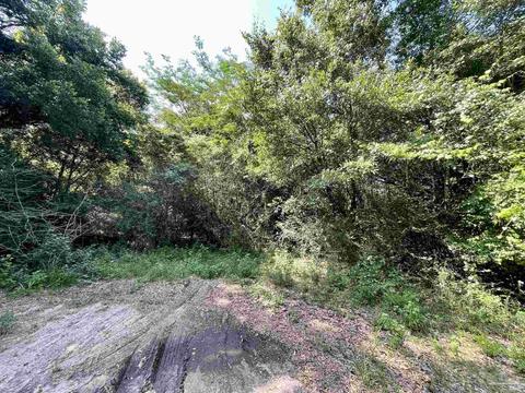 00 Daybreak Ln, Pace, FL 32571 photo 4