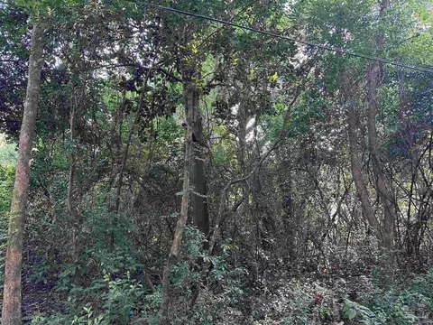 Triangle St, Bagdad, FL 32583