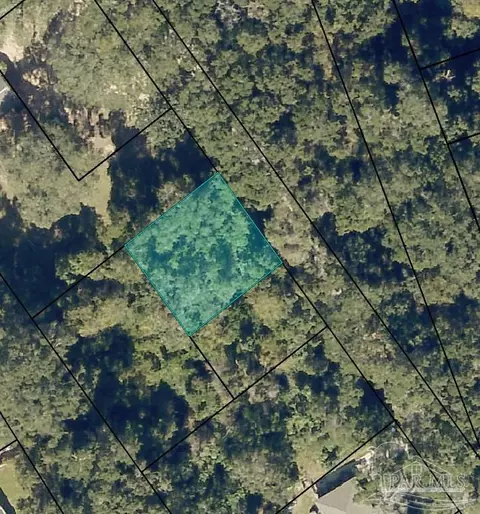 Triangle St, Bagdad, FL 32583 photo 3