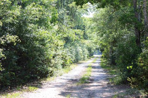 6080 Chumuckla Hwy, Pace, FL 32571 photo 27