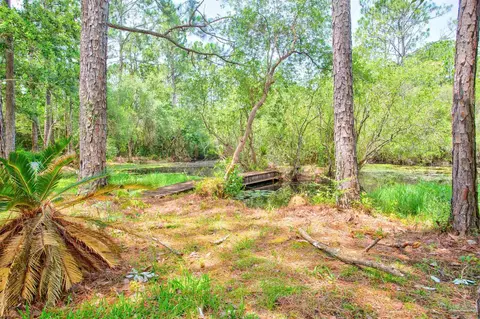 309 E Mallard Creek Rd, Freeport, FL 32439 photo 4