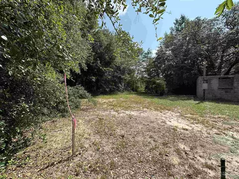 6852 Timber Crest Rd, Harold, FL 32583 photo 20