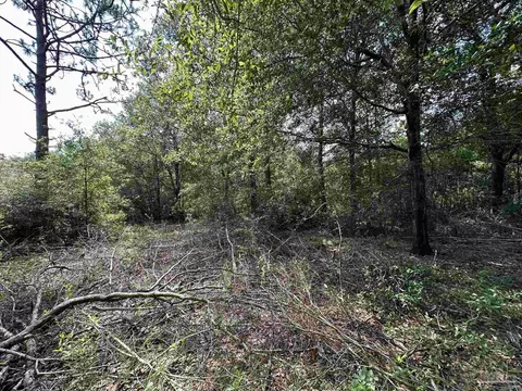 6852 Timber Crest Rd, Harold, FL 32583 photo 19