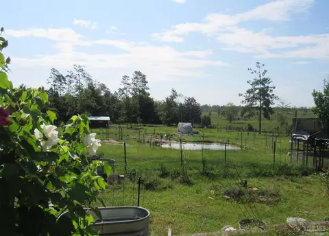 2102 Lewis Rd, Milton, FL 32570 photo 42