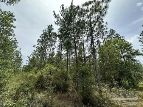 Parcel D N Wildlife Rd, Milton, FL 32570