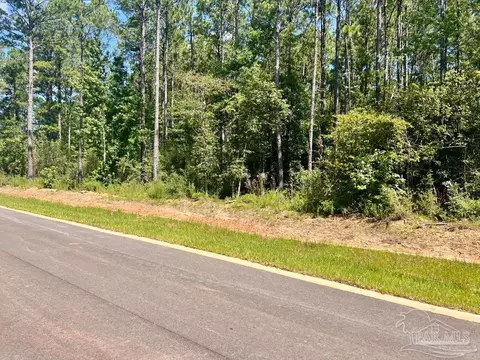 lot Asw-2 Bashi Rd, Pace, FL 32571 photo 8