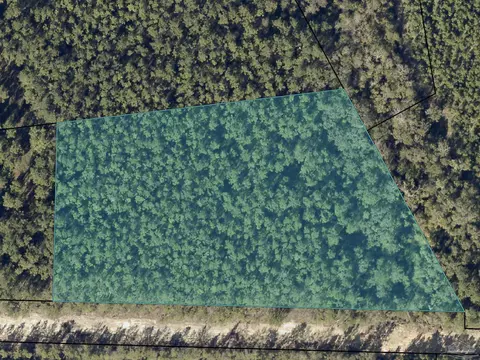 lot Asw-2 Bashi Rd, Pace, FL 32571 photo 5