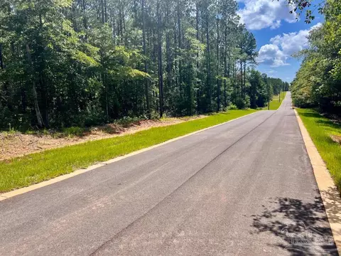 lot Asw-2 Bashi Rd, Pace, FL 32571 photo 6