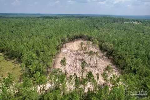 lot4 Gin Rd, Pace, FL 32571 photo 12