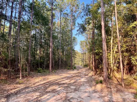 lot4 Gin Rd, Pace, FL 32571 photo 13