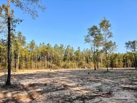 lot4 Gin Rd, Pace, FL 32571 photo 23