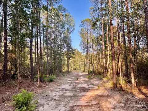 lot4 Gin Rd, Pace, FL 32571 photo 14