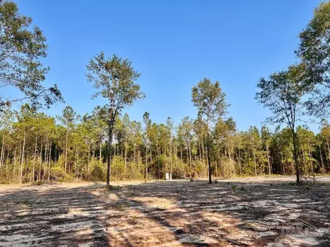 lot4 Gin Rd, Pace, FL 32571 photo 24