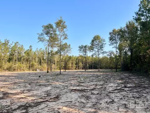 lot4 Gin Rd, Pace, FL 32571 photo 22