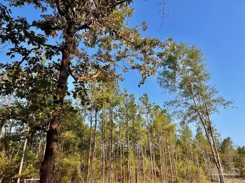 lot4 Gin Rd, Pace, FL 32571 photo 19
