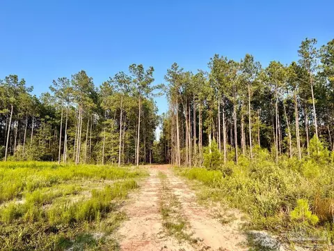 lot4 Gin Rd, Pace, FL 32571 photo 15
