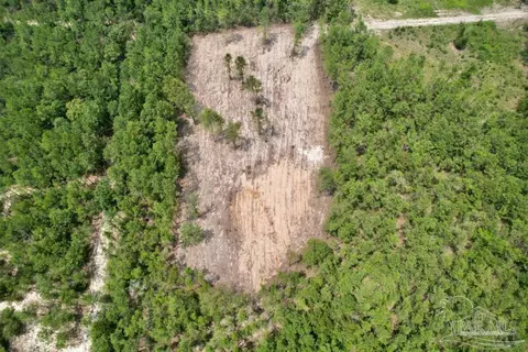 lot4 Gin Rd, Pace, FL 32571 photo 7