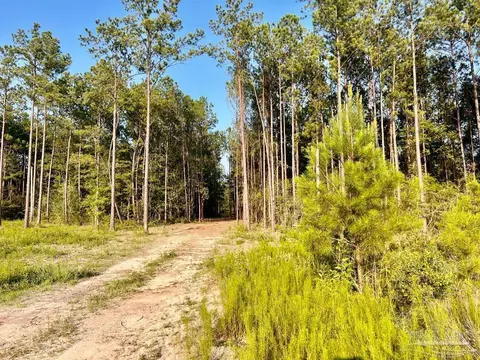 lot4 Gin Rd, Pace, FL 32571 photo 18