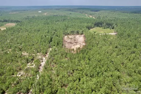 lot4 Gin Rd, Pace, FL 32571 photo 6