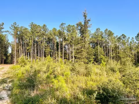 lot4 Gin Rd, Pace, FL 32571 photo 16