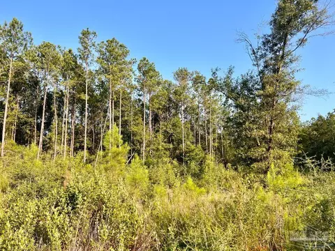 lot4 Gin Rd, Pace, FL 32571 photo 17