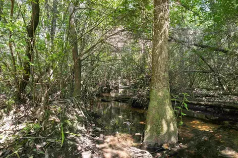 Allison Creek Ln, Jay, FL 32565 photo 3