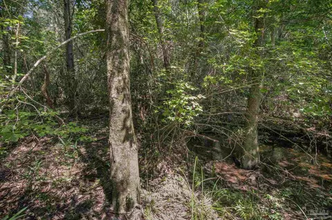 Allison Creek Ln, Jay, FL 32565 photo 4