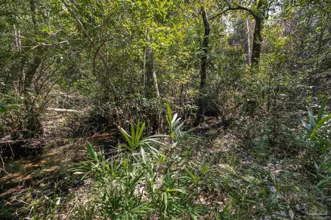 Allison Creek Ln, Jay, FL 32565 photo 5