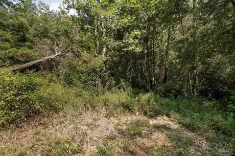 Allison Creek Ln, Jay, FL 32565 photo 6