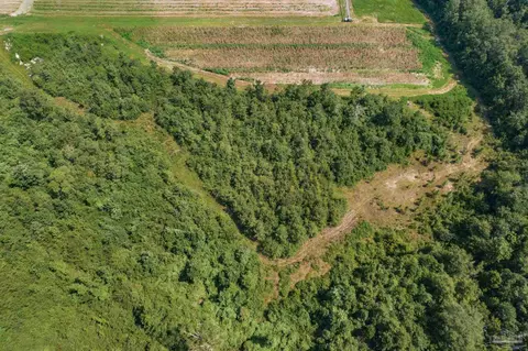 Allison Creek Ln, Jay, FL 32565 photo 9