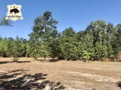 lot2 Bs Buffalo Ridge Rd, Pace, FL 32571