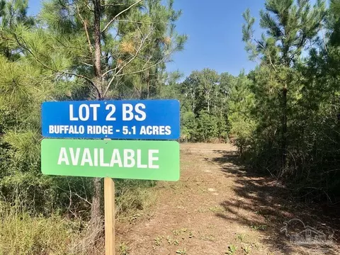 lot2 Bs Buffalo Ridge Rd, Pace, FL 32571 photo 2