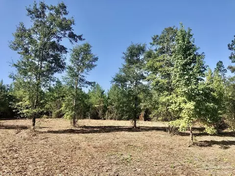 lot2 Bs Buffalo Ridge Rd, Pace, FL 32571 photo 8